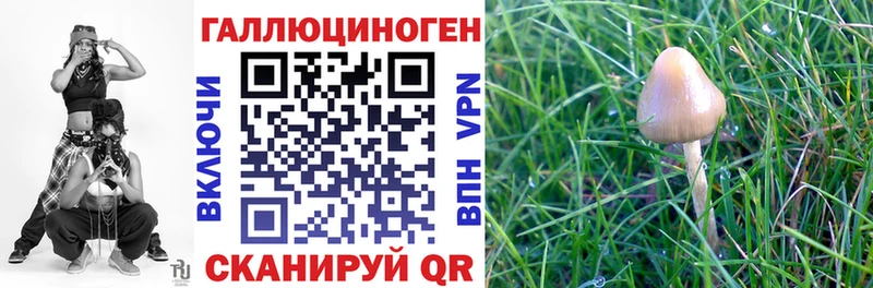 darknet какой сайт  ОМГ ОМГ маркетплейс  Галлюциногенные грибы Psilocybe  Добрянка  где продают наркотики 