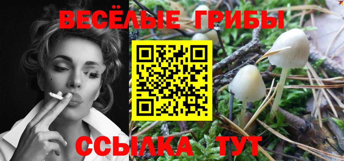 купить   Галлюциногенные грибы мухоморы  Вход с VPN  Добрянка 