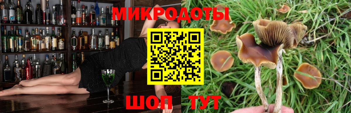 Псилоцибиновые грибы ЛСД Добрянка