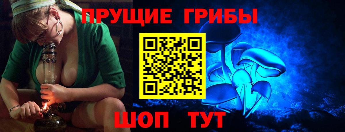 Псилоцибиновые грибы Psilocybe Добрянка